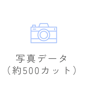 写真データ(約500カット)